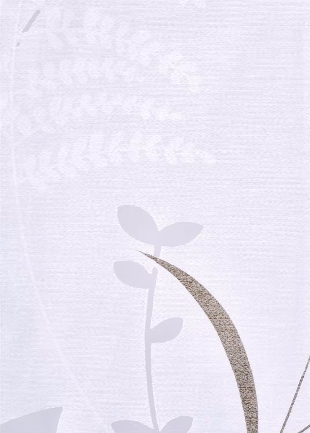 Raffrollo / Ösenrollo Dandelion ohne Bohren | weiß - Breite 45 - 120 cm - Dandelion Ausbrenner weiss halbtransparent