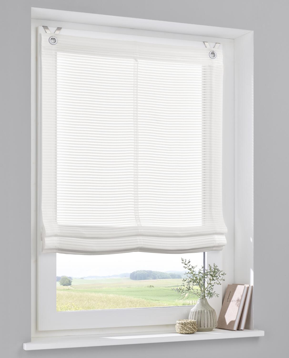 Raffrollo Areggo gestreift offwhite