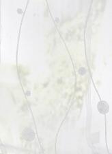 Raffrollo Nelly mit feinem Stick Kreise Ranken weiss