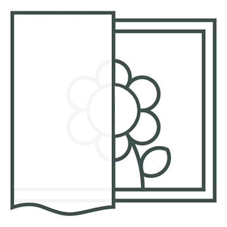 Vorhang_Ösenschal_Bellinda_taupe_halbtransparent